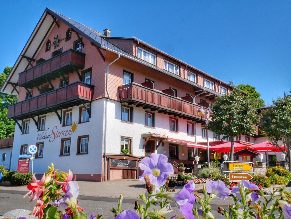 Wochner'S Hotel-Sternen Am Schluchsee Hochschwarzwald المظهر الخارجي الصورة